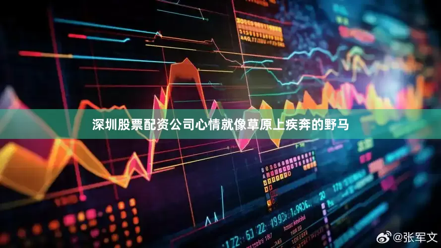 深圳股票配资公司心情就像草原上疾奔的野马